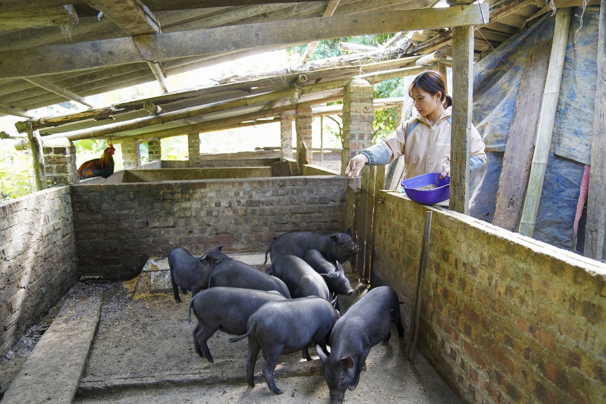 Mạng lưới tuyên truyền viên giúp phụ nữ Nghiên Loan thoát “nghèo thông tin”- Ảnh 4. Mạng lưới tuyên truyền viên giúp phụ nữ Nghiên Loan thoát “nghèo thông tin”- Ảnh 4.