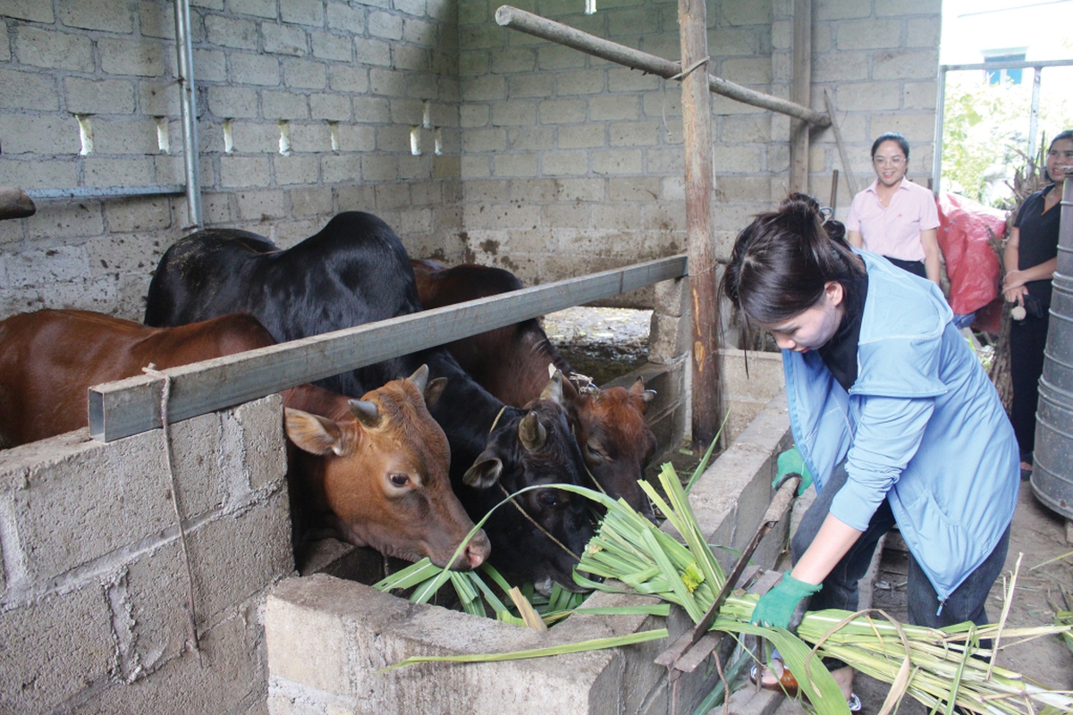 Tận dụng nguồn lực để giảm nghèo bền vững ở Cao Bằng- Ảnh 2.