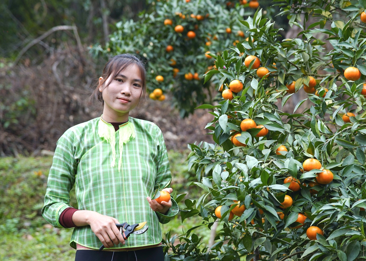 Phụ nữ xứ Lạng đổi mới tư duy làm kinh tế, đánh thức tài nguyên bản địa- Ảnh 3. Phụ nữ xứ Lạng đổi mới tư duy làm kinh tế, đánh thức tài nguyên bản địa- Ảnh 3.
