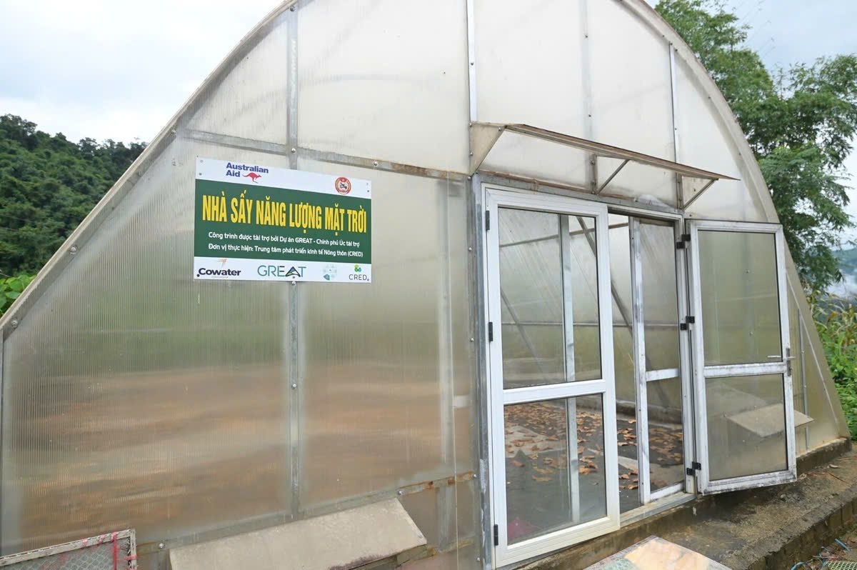 Phụ nữ vùng cao Sơn La vươn lên thoát nghèo bằng cây măng- Ảnh 3.