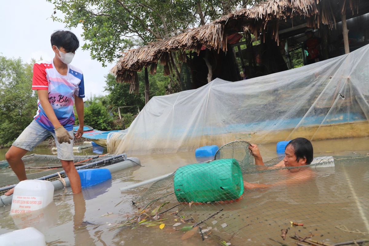 Nhiều mô hình hay trong giảm nghèo bền vững ở xã ven biển Cà Mau- Ảnh 1. Nhiều mô hình hay trong giảm nghèo bền vững ở xã ven biển Cà Mau- Ảnh 1.
