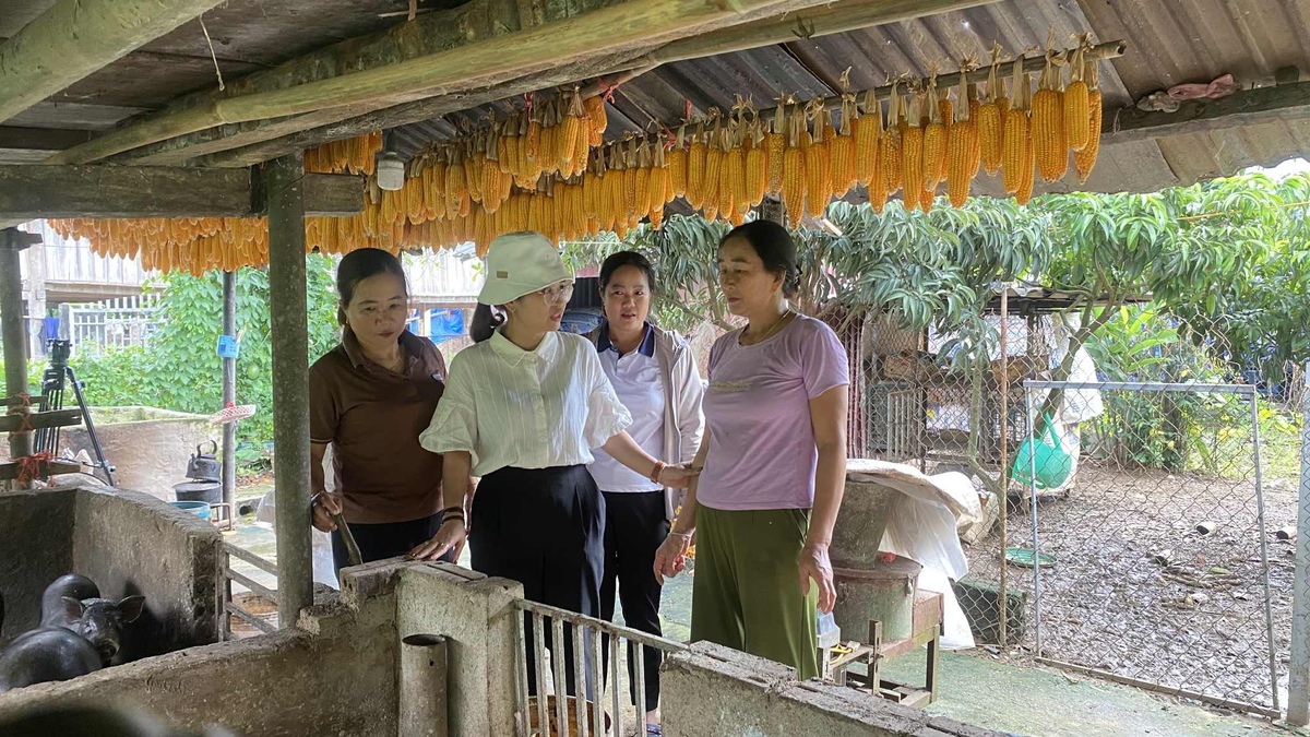 10 con số ấn tượng của phong trào phụ nữ tỉnh Lai Châu giai đoạn 2021-2025- Ảnh 4.