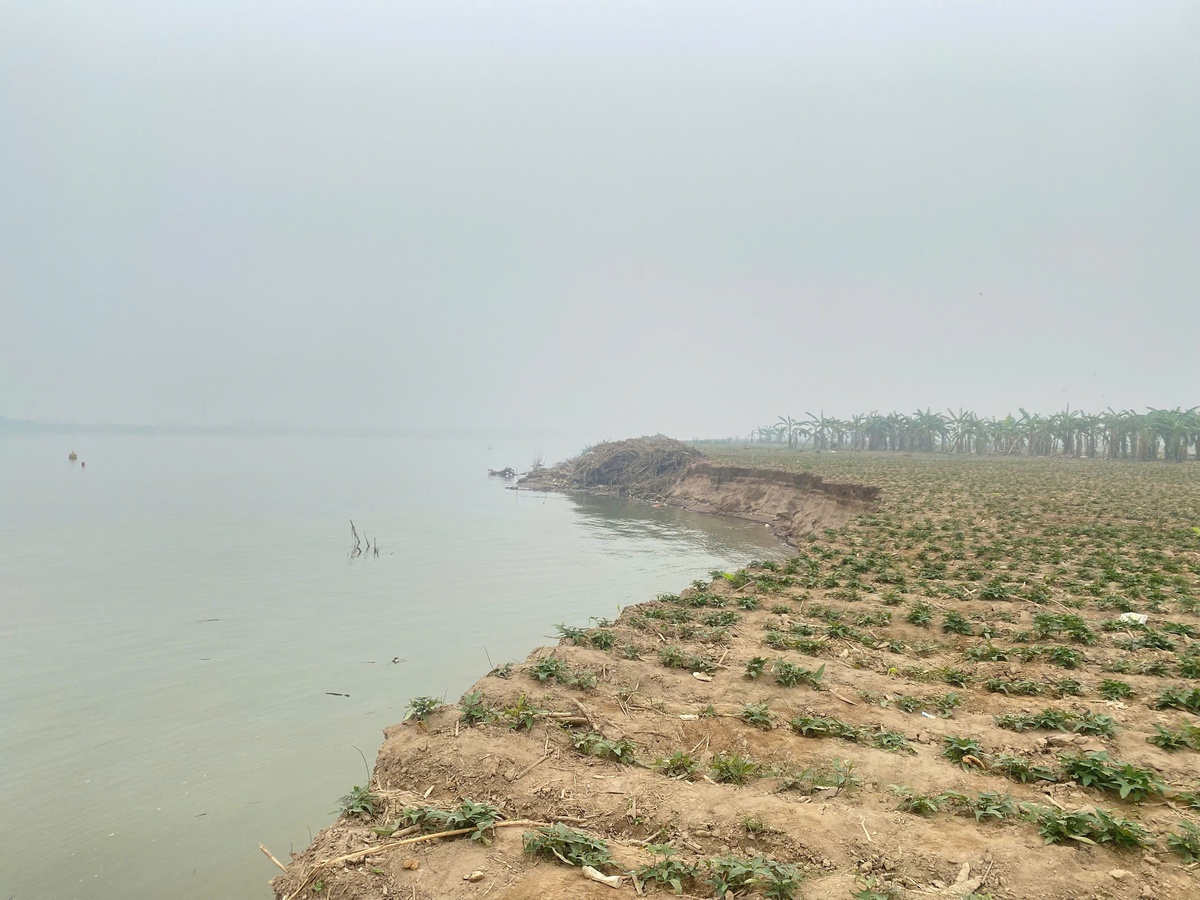 Nghi vấn tàu khai thác cát gây sạt lở nghiêm trọng đất canh tác của người dân- Ảnh 1. Nghi vấn tàu khai thác cát gây sạt lở nghiêm trọng đất canh tác của người dân- Ảnh 1.