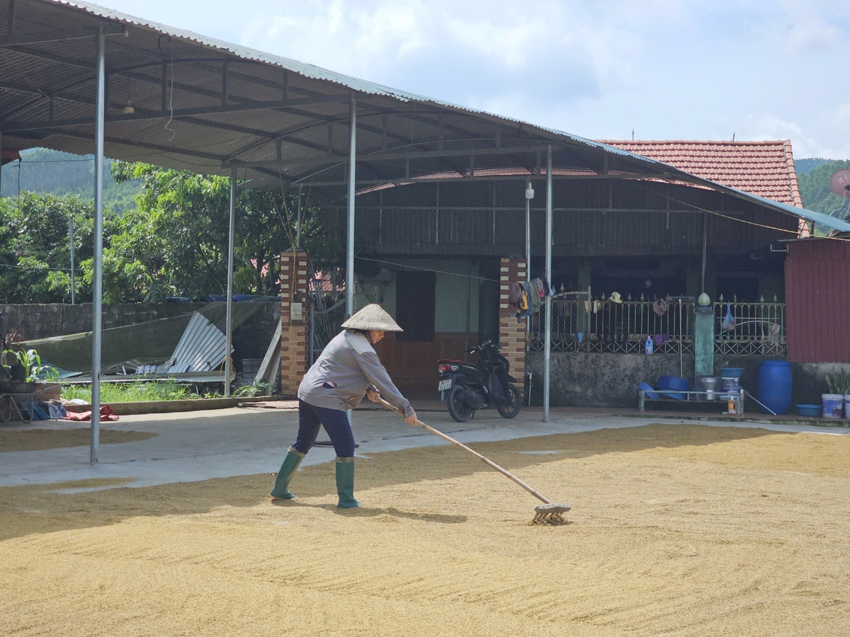 Bắc Ninh: Điểm sáng trong thực hiện giảm nghèo và thúc đẩy bình đẳng giới- Ảnh 1.