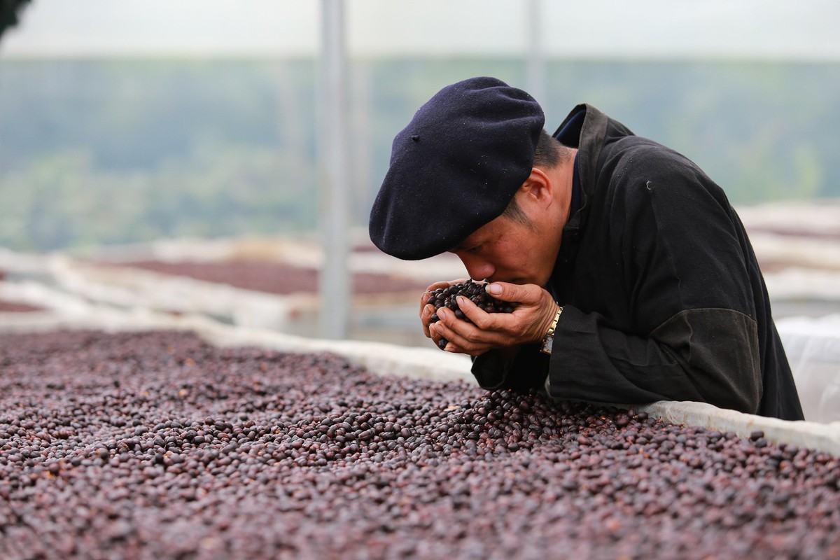 Những người phụ nữ giúp hạt cà phê Sơn La “vượt dốc”- Ảnh 4.