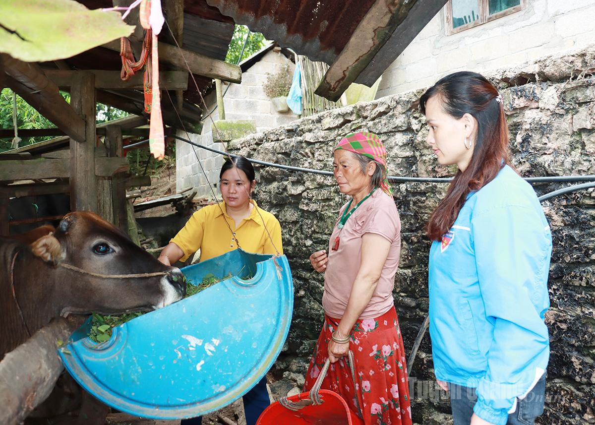 Chuyển đổi số tạo đột phá giảm nghèo đa chiều ở Tuyên Quang- Ảnh 4.