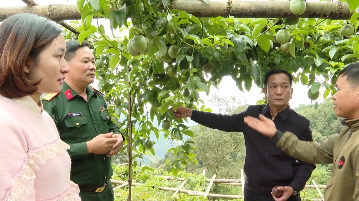 Chuyển đổi số tạo đột phá giảm nghèo đa chiều ở Tuyên Quang- Ảnh 3.