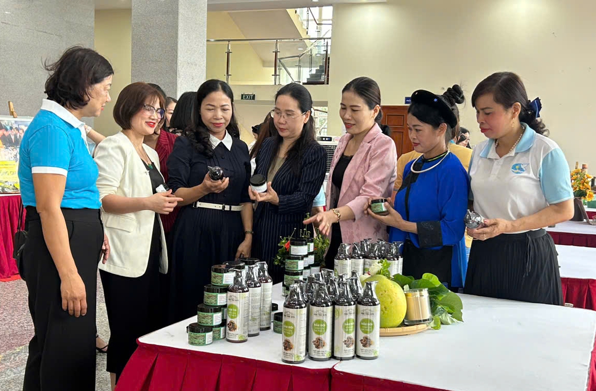 Định hình tầm nhìn Hội LHPN tỉnh Hưng Yên thống nhất, chuyên nghiệp và đổi mới- Ảnh 5.