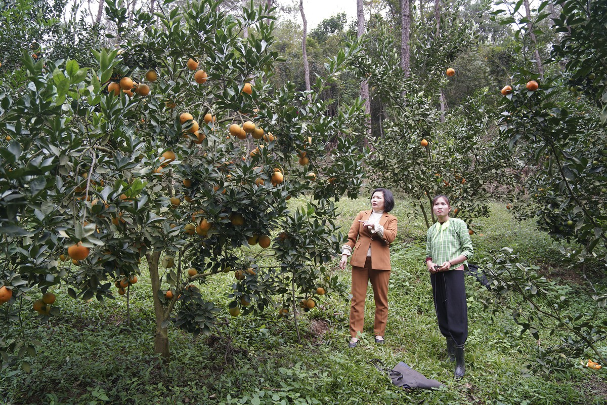 Chuyển đổi số - "Chìa khóa" nâng cao chất lượng hoạt động Hội ở Lạng Sơn- Ảnh 2.