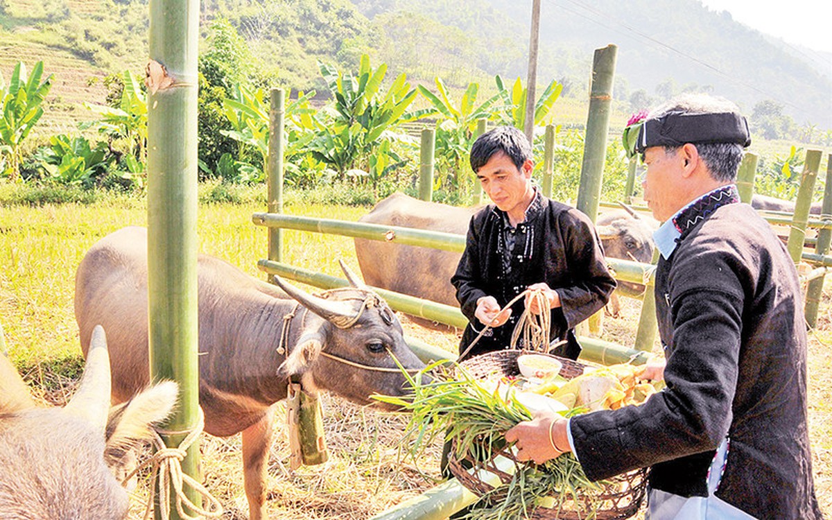 Nỗ lực phục dựng lễ hội, nghi lễ của dân tộc Lự- Ảnh 2. Nỗ lực phục dựng lễ hội, nghi lễ của dân tộc Lự- Ảnh 2.