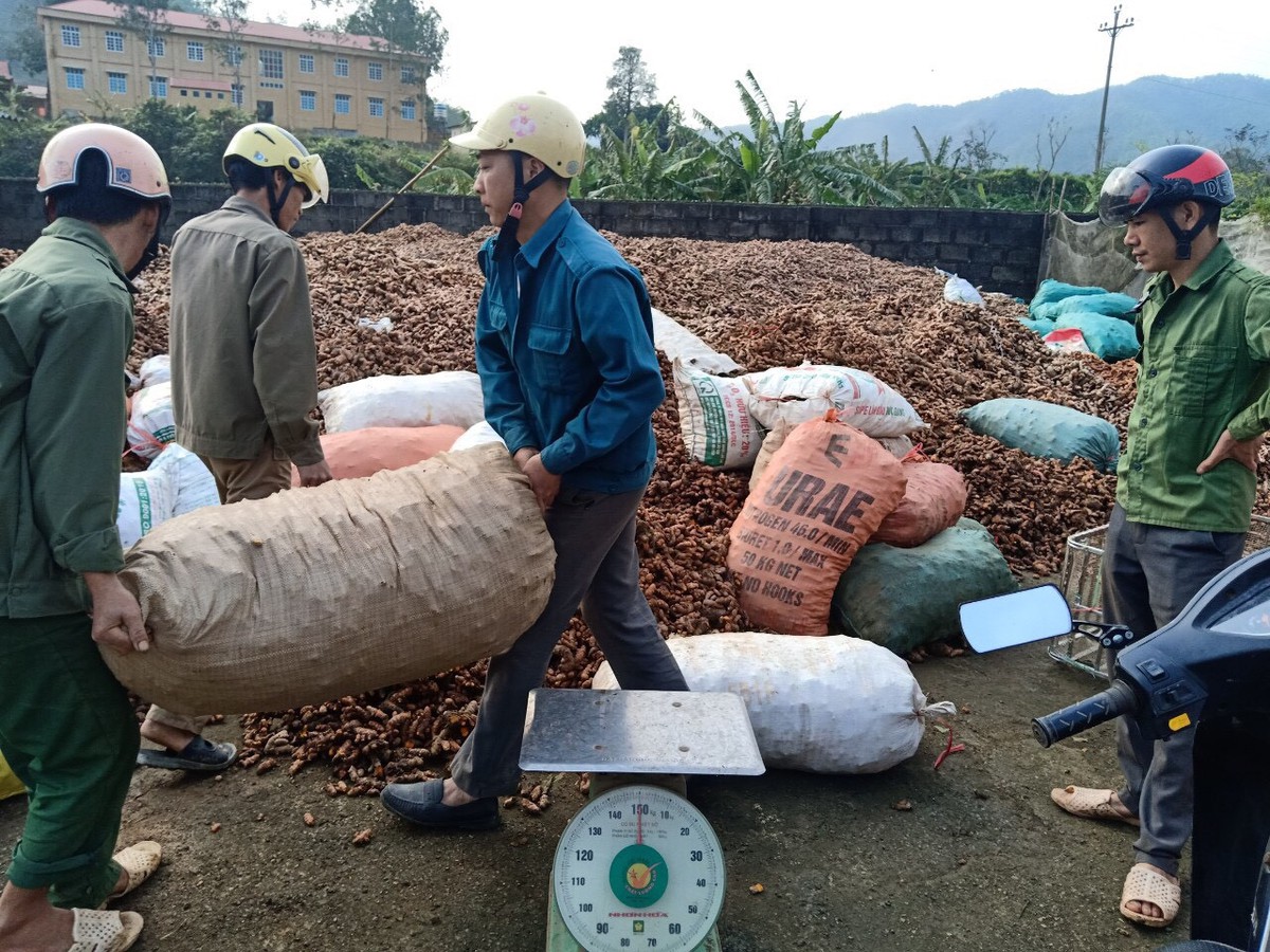 Những phụ nữ tiên phong trong giảm nghèo ở Lạng Sơn- Ảnh 2.