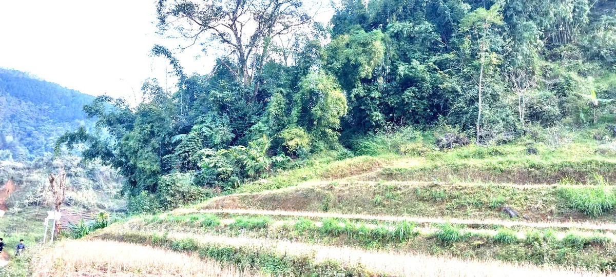 Bảo tồn văn hóa dân tộc Lự gắn với phát triển bền vững ở Lai Châu- Ảnh 2.