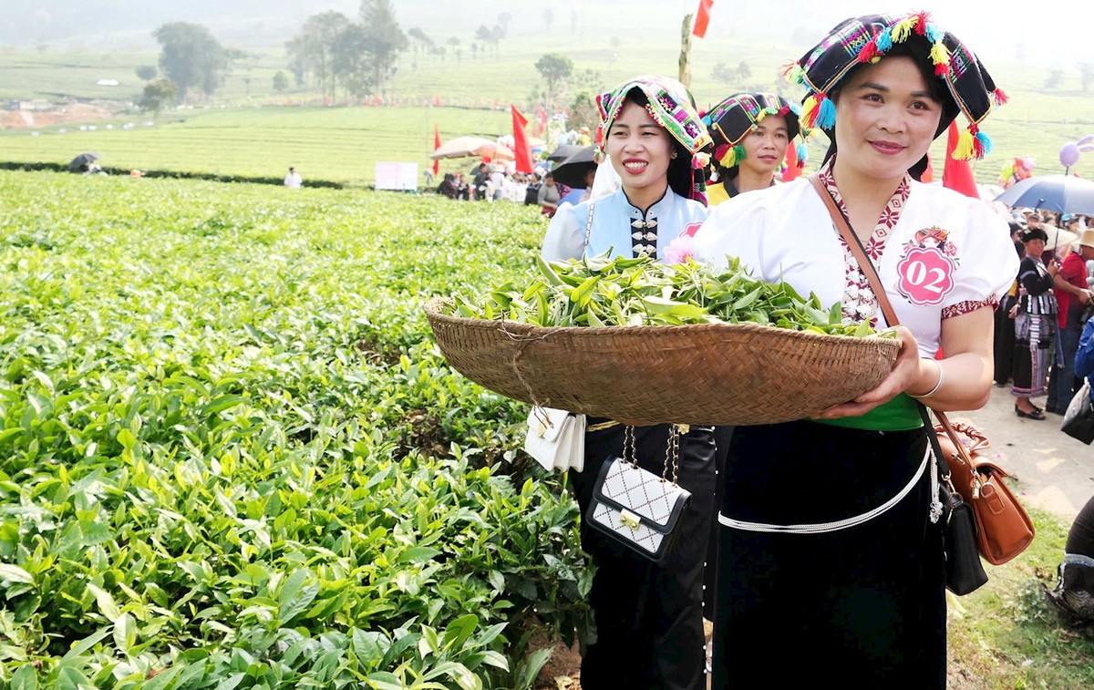 Phụ nữ dân tộc thiểu số và miền núi vượt rào cản phát triển thương mại thông qua công nghệ số- Ảnh 2.