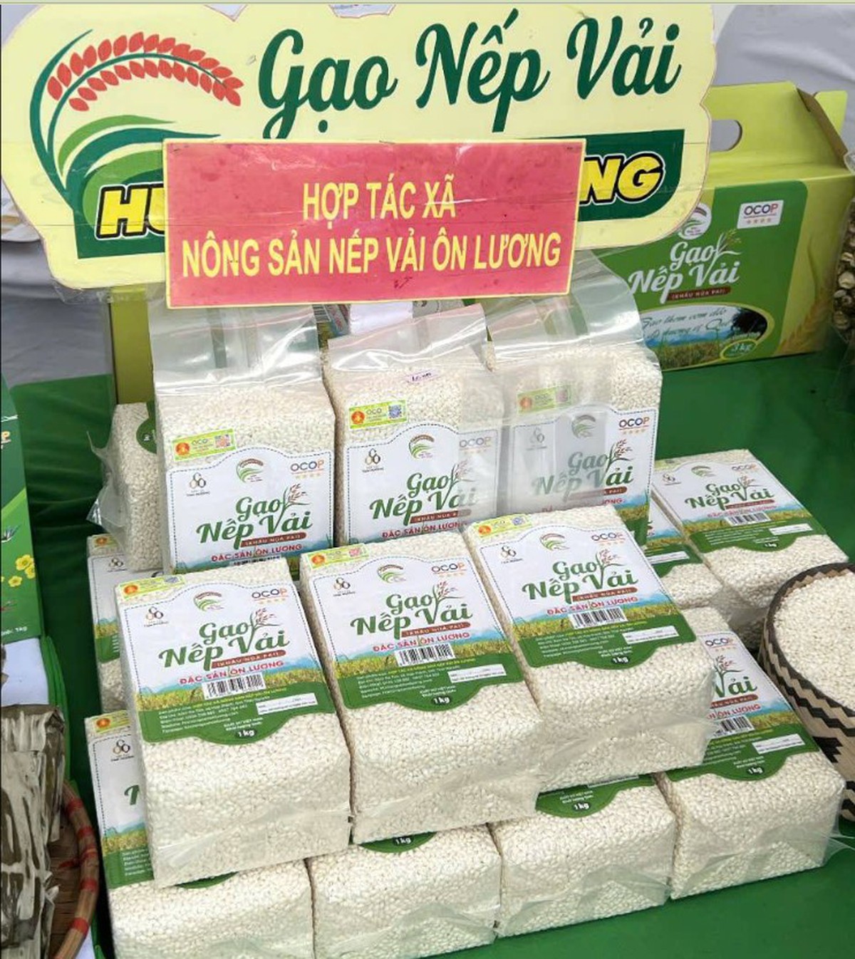 Nếp vải từ ruộng làng Ôn Lương đến OCOP 4 sao- Ảnh 6.