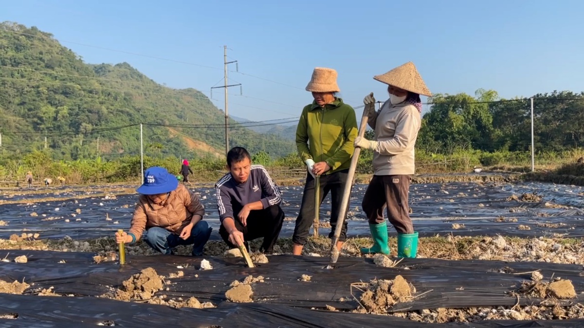 Bước chuyển trong công tác giảm nghèo ở Gia Phù- Ảnh 1.