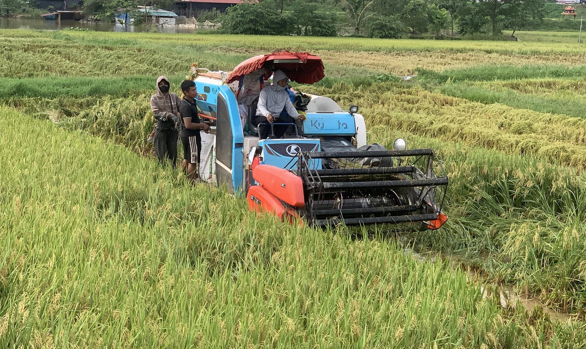 Phát huy vai trò của phụ nữ trong công tác giảm nghèo bền vững- Ảnh 1.