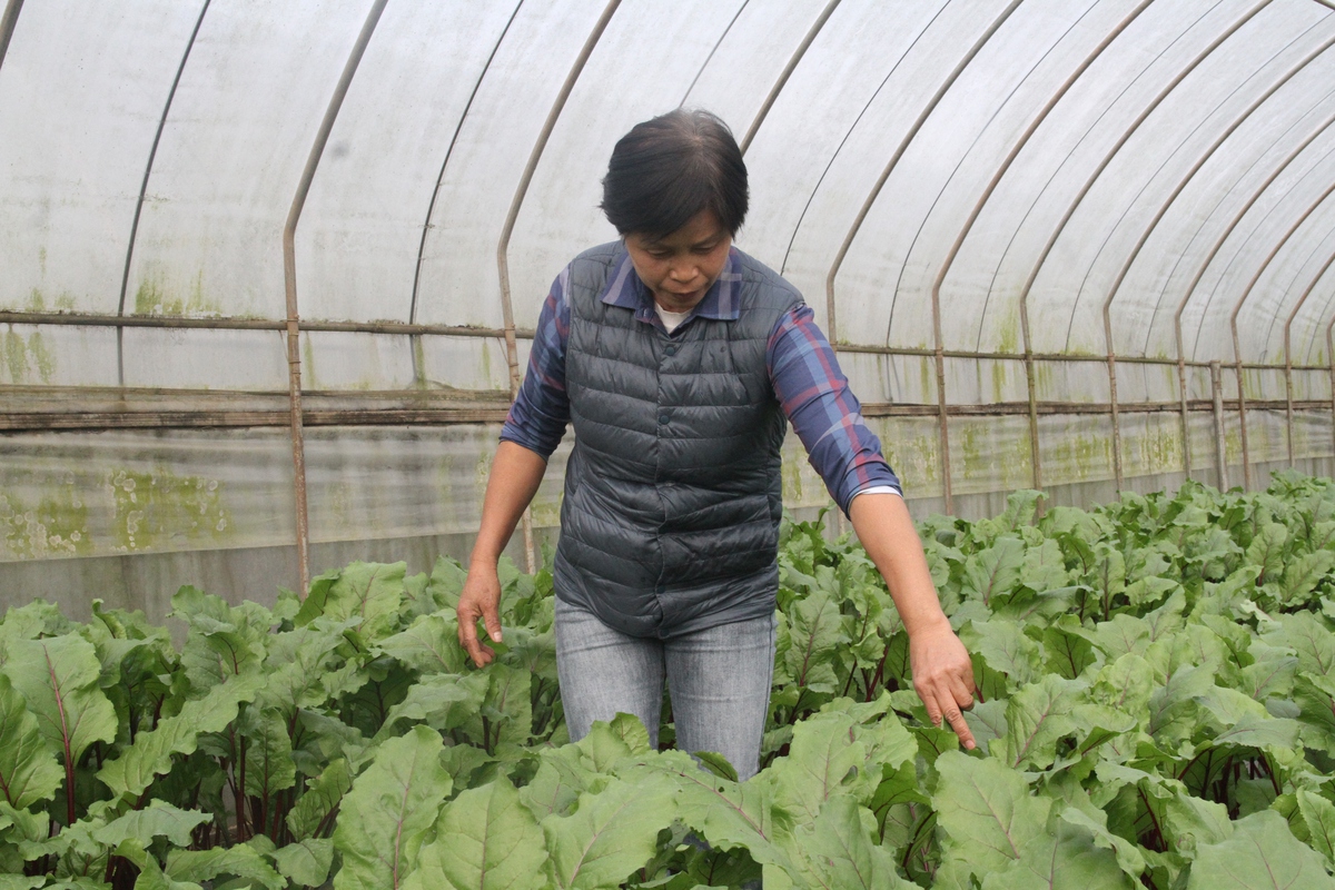 Đặt bình đẳng giới ở vị trí trung tâm để giảm nghèo bền vững- Ảnh 3.