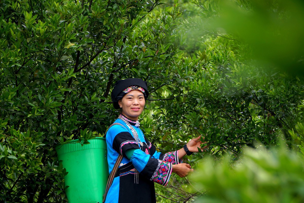 Đặt bình đẳng giới ở vị trí trung tâm để giảm nghèo bền vững- Ảnh 1.