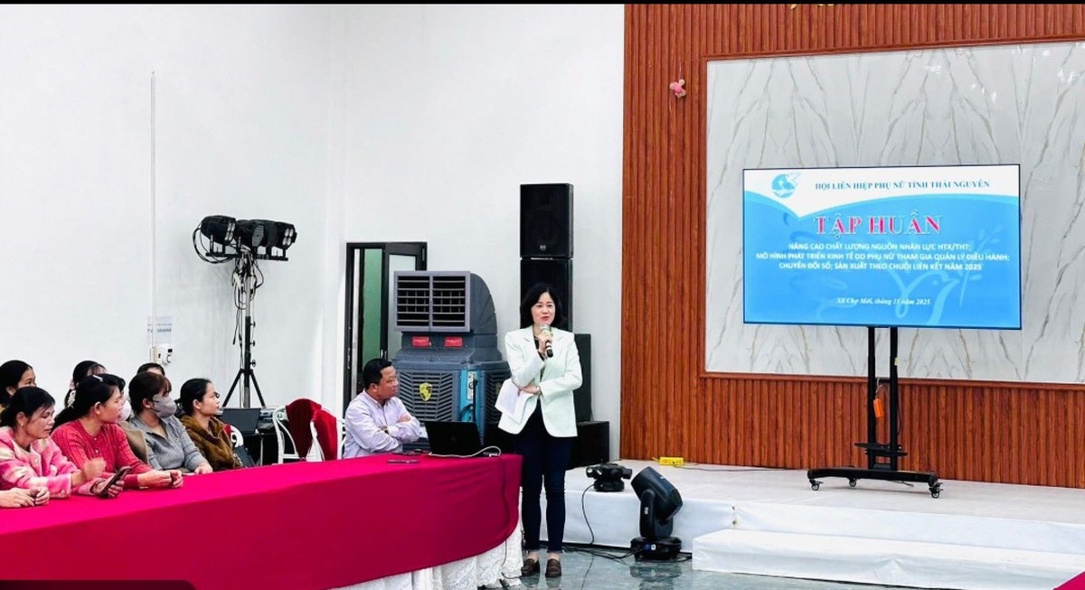 Giảm nghèo về thông tin giúp phụ nữ Thái Nguyên tiếp cận chính sách, tri thức và thị trường- Ảnh 1.