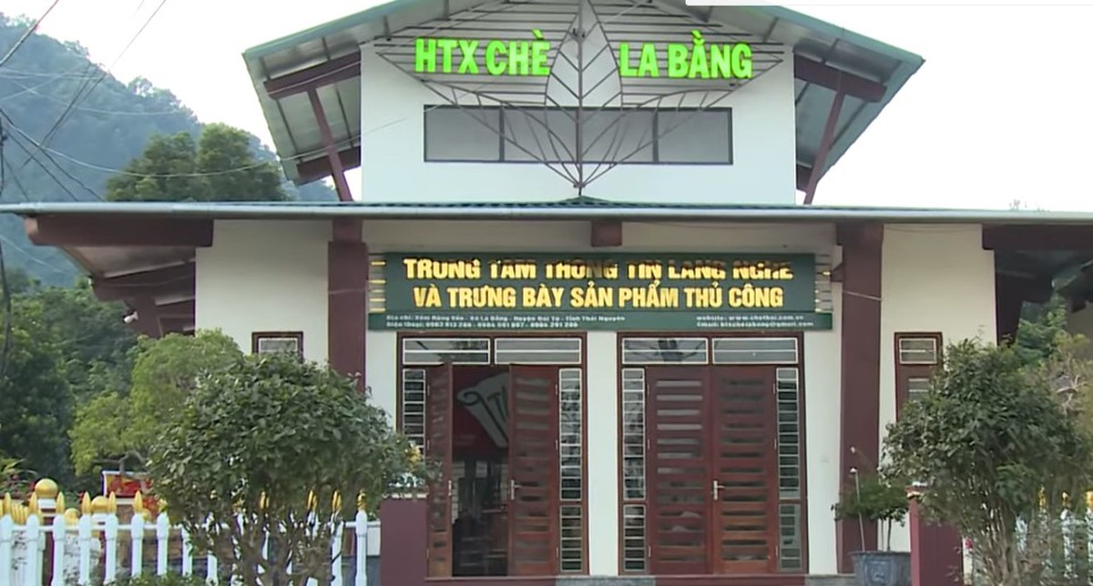 Chè La Bằng: Gieo thương hiệu, gặt sinh kế bền vững- Ảnh 4.