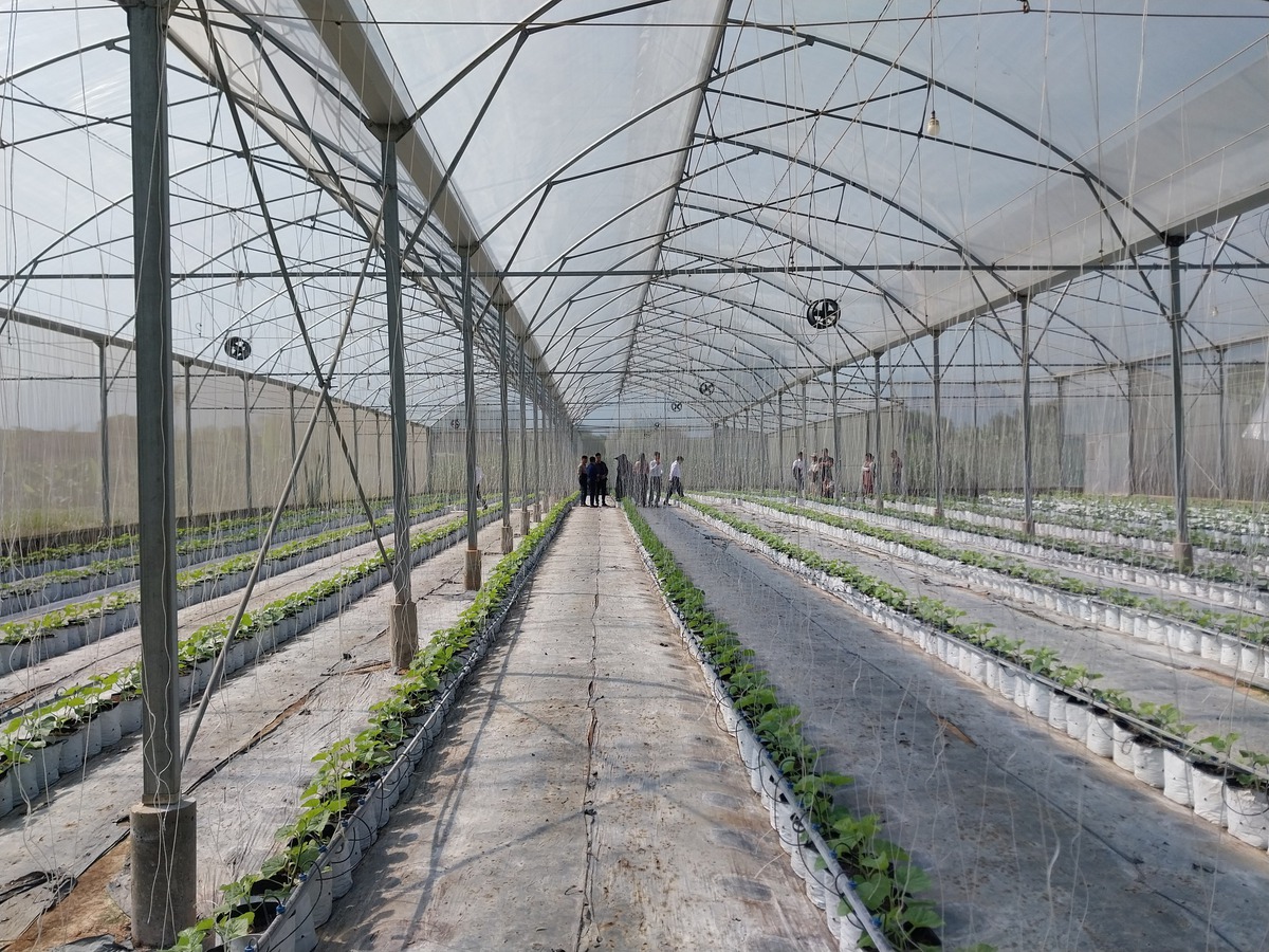 Thông tin - chiếc 