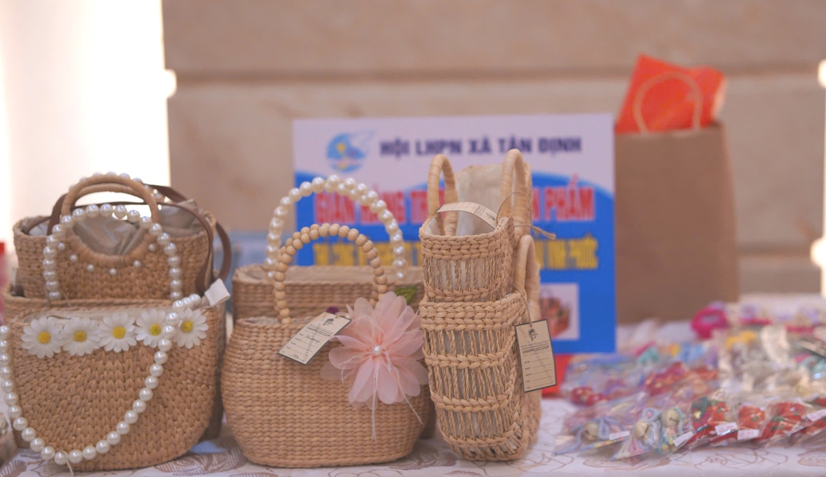 Phụ nữ Khánh Hòa khẳng định vai trò trong phát triển kinh tế tập thể- Ảnh 2. Phụ nữ Khánh Hòa khẳng định vai trò trong phát triển kinh tế tập thể- Ảnh 2.