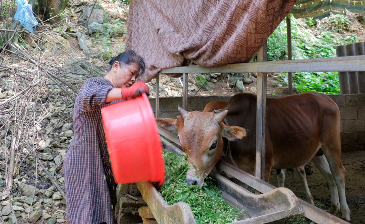 Cao Bằng: Phát huy hiệu quả nguồn vốn giảm nghèo, thúc đẩy bình đẳng giới- Ảnh 1.
