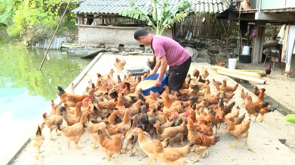 Phủ Thông dồn lực giảm nghèo từ sức mạnh thông tin- Ảnh 2.