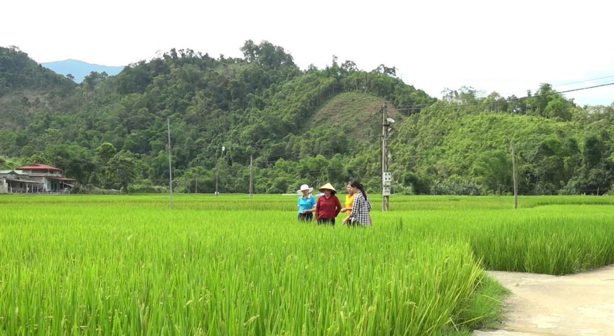 Phủ Thông dồn lực giảm nghèo từ sức mạnh thông tin- Ảnh 4.