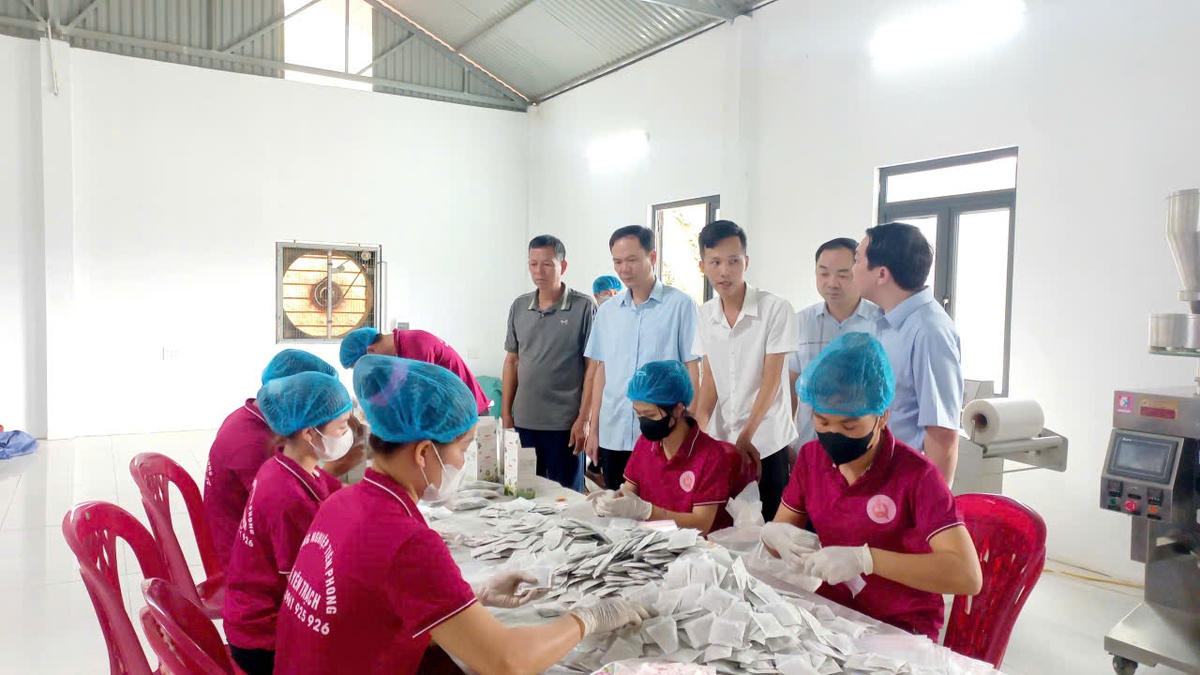 Yên Trạch: Giảm nghèo từ thông tin, bền vững từ nội lực- Ảnh 2.