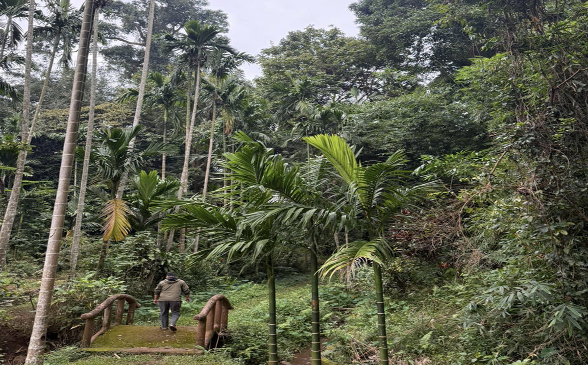 Khơi dậy nội lực, nâng cao đời sống và vị thế phụ nữ thông qua xây dựng nông thôn mới ở Tân An- Ảnh 2.