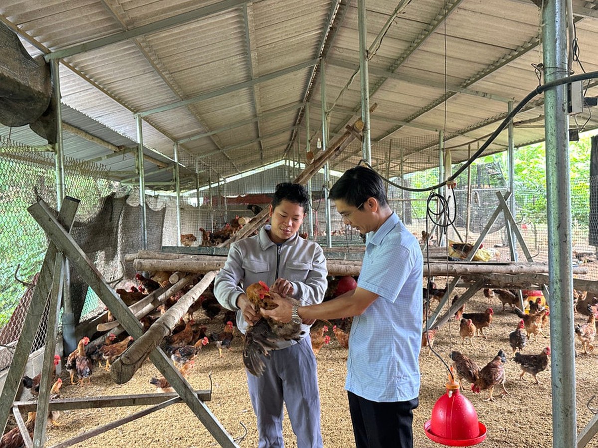 Võ Nhai nỗ lực giảm nghèo, tạo sinh kế bền vững- Ảnh 1.