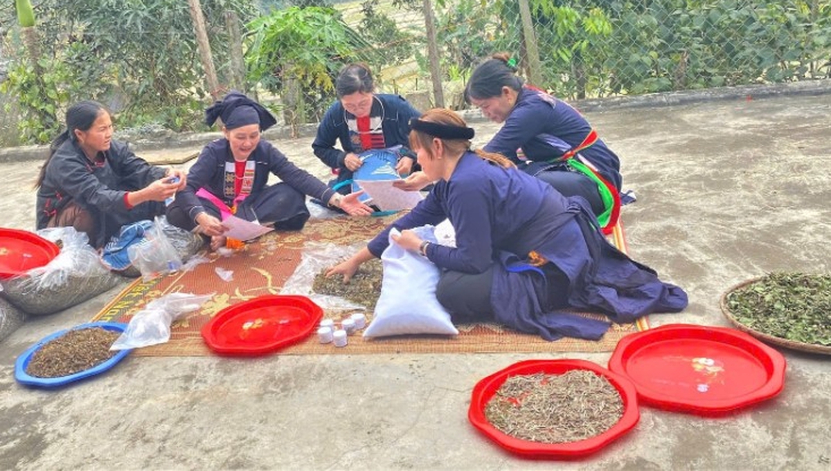 Phụ nữ Phú Lương thắp sáng khát vọng thoát nghèo- Ảnh 3.