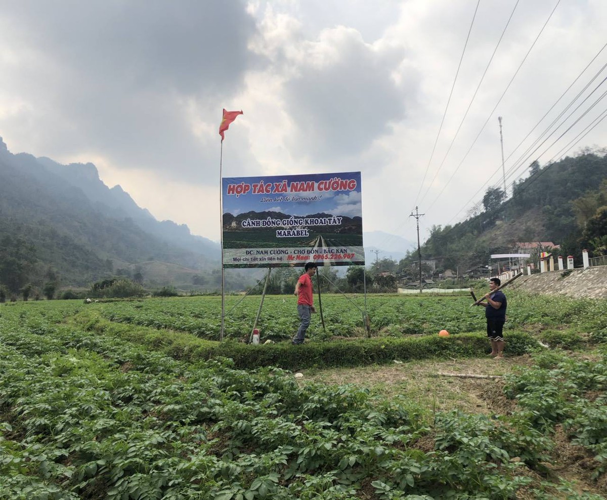 Nam Cường giảm nghèo bền vững từ truyền thông cơ sở- Ảnh 1. Nam Cường giảm nghèo bền vững từ truyền thông cơ sở- Ảnh 1.