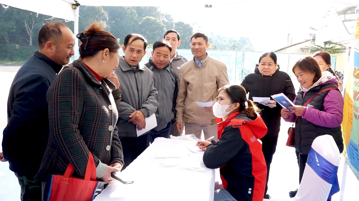 Phụ nữ Phú Lương thắp sáng khát vọng thoát nghèo- Ảnh 4.