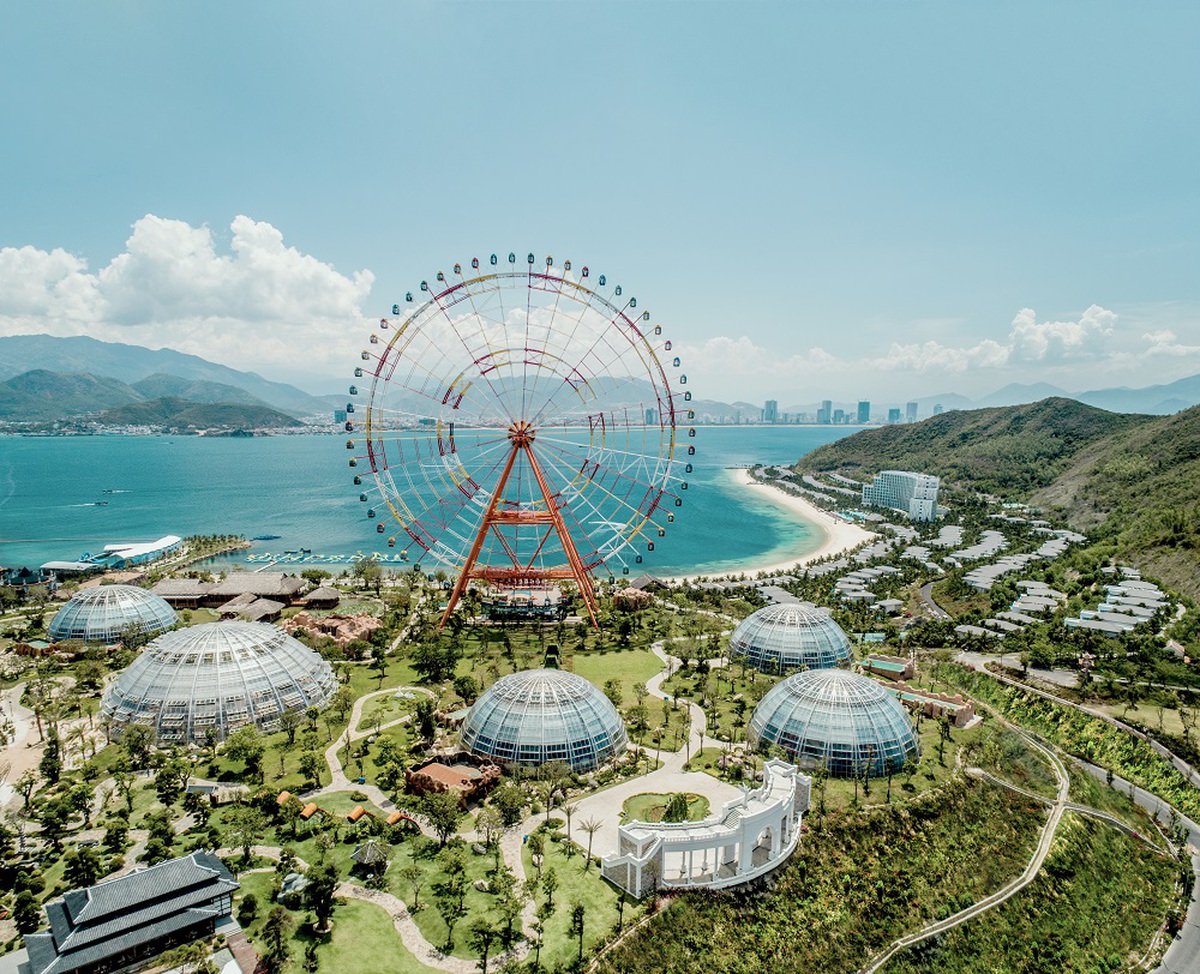 Miễn nhiệm Tổng Giám đốc Vinpearl giữa lúc cổ phiếu "họ VIN" giảm sàn- Ảnh 1.