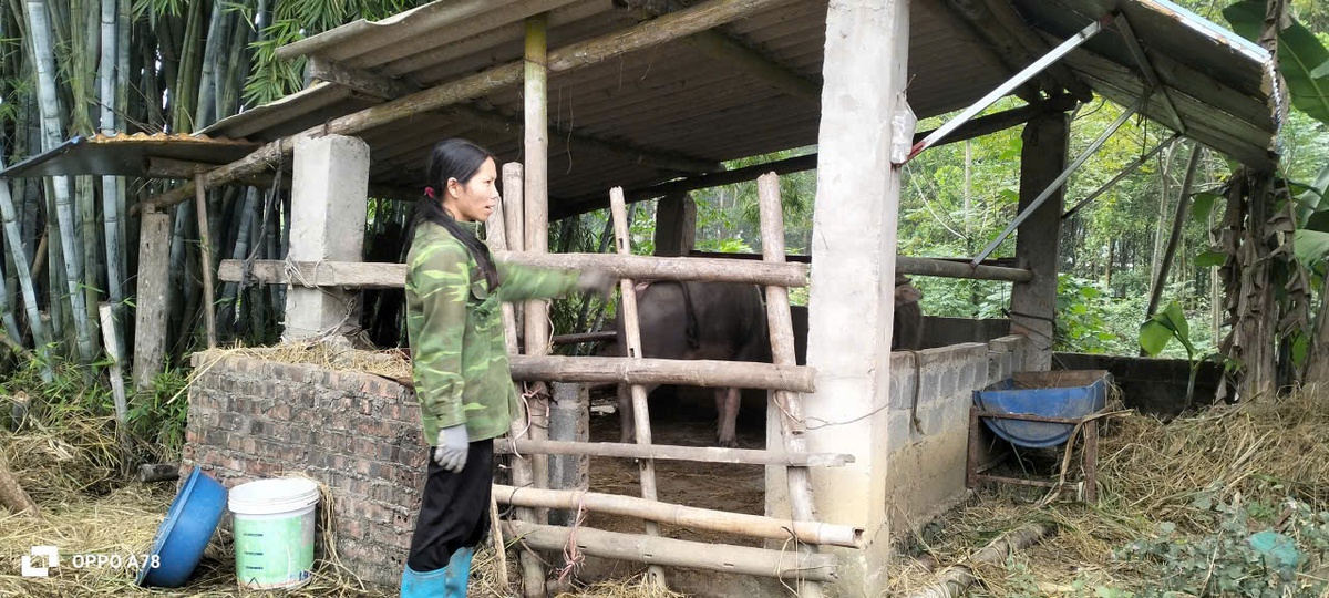 Truyền thông mở lối giảm nghèo thông tin ở Hợp Thành- Ảnh 2.