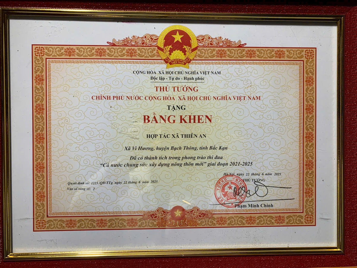 Từ nương rẫy đến thị trường số và mục tiêu phát triển du lịch của cô gái Dao ở Phủ Thông, Thái Nguyên- Ảnh 6.