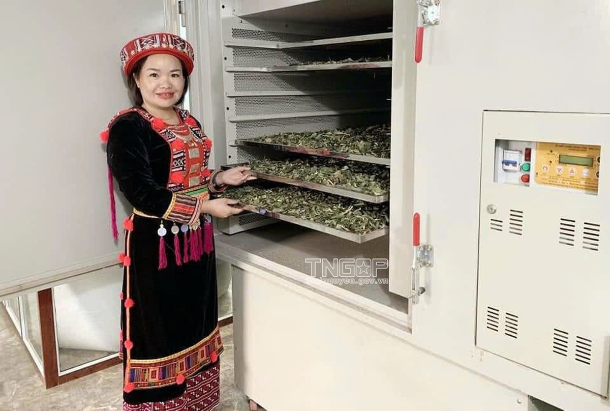 Từ nương rẫy đến thị trường số và mục tiêu phát triển du lịch của cô gái Dao ở Phủ Thông, Thái Nguyên- Ảnh 2.