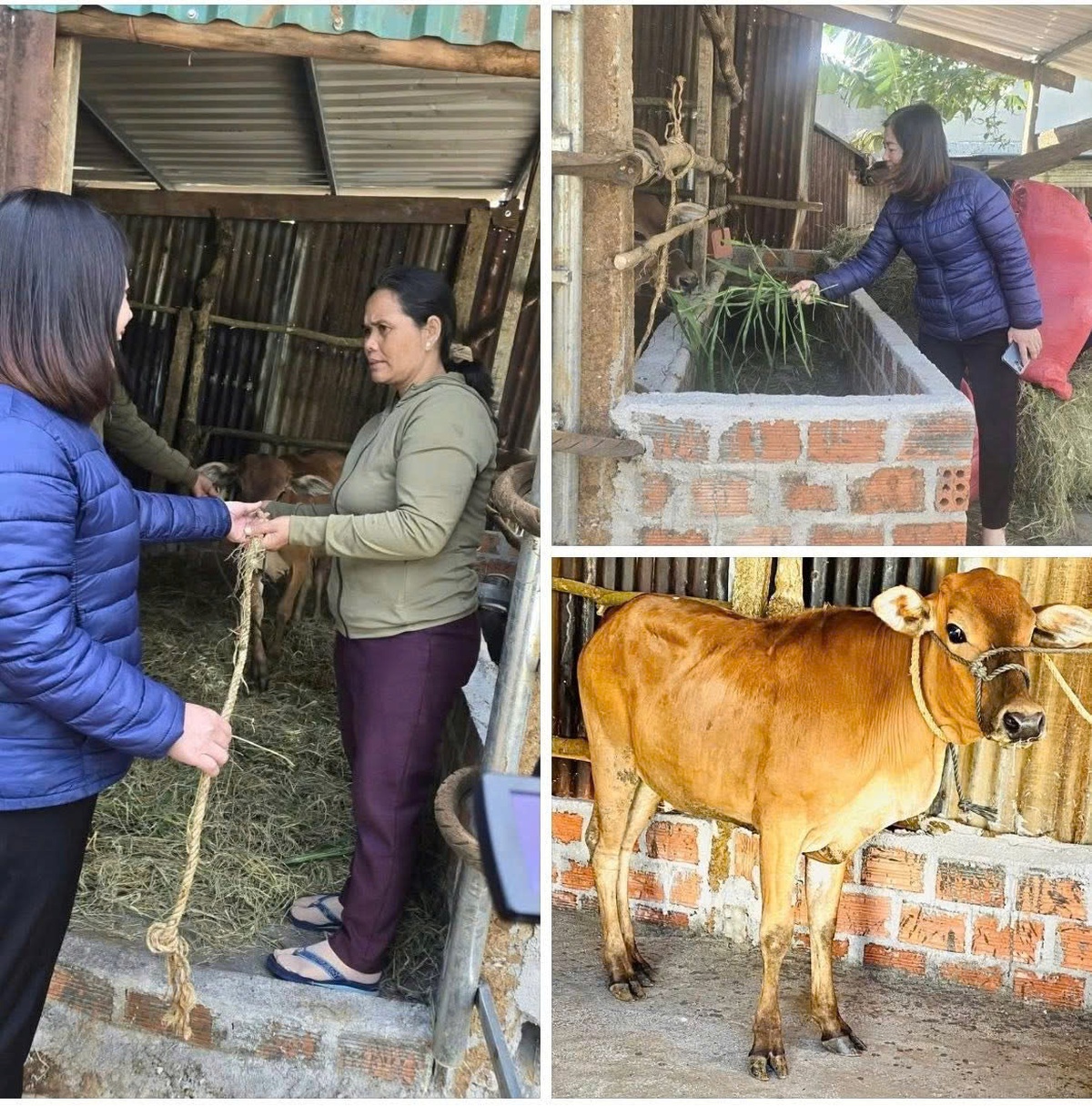 Phụ nữ Gia Lai hoàn thành nhiều phần việc chào mừng Đại hội đại biểu Phụ nữ tỉnh nhiệm kỳ 2025 - 2030- Ảnh 3. Phụ nữ Gia Lai hoàn thành nhiều phần việc chào mừng Đại hội đại biểu Phụ nữ tỉnh nhiệm kỳ 2025 - 2030- Ảnh 3.