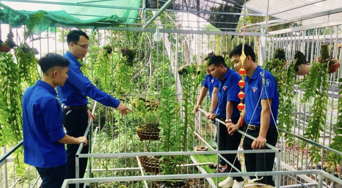 Tái chế phụ phẩm nông nghiệp: Nền tảng cho du lịch xanh nông thôn- Ảnh 2.