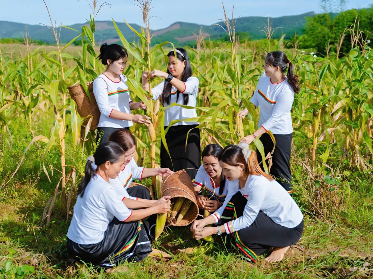 Những phụ nữ giữ hồn sắc phục Co nơi bản làng vùng cao- Ảnh 2.