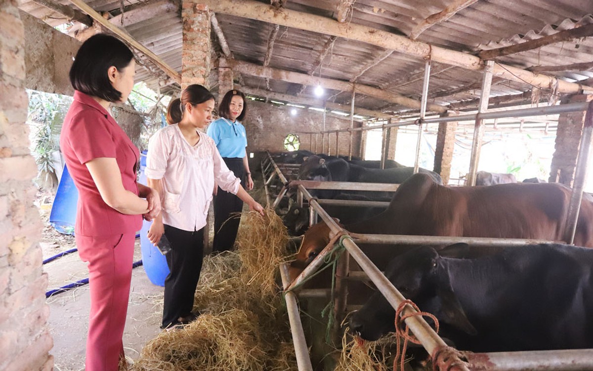 Thái Nguyên: Lồng ghép giới trong giảm nghèo bền vững- Ảnh 1.