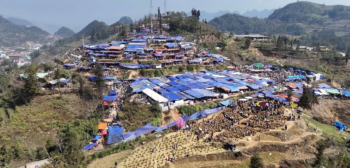 Pha Long triển khai hiệu quả công tác giảm nghèo bền vững, thúc đẩy bình đẳng giới- Ảnh 1. Pha Long triển khai hiệu quả công tác giảm nghèo bền vững, thúc đẩy bình đẳng giới- Ảnh 1.