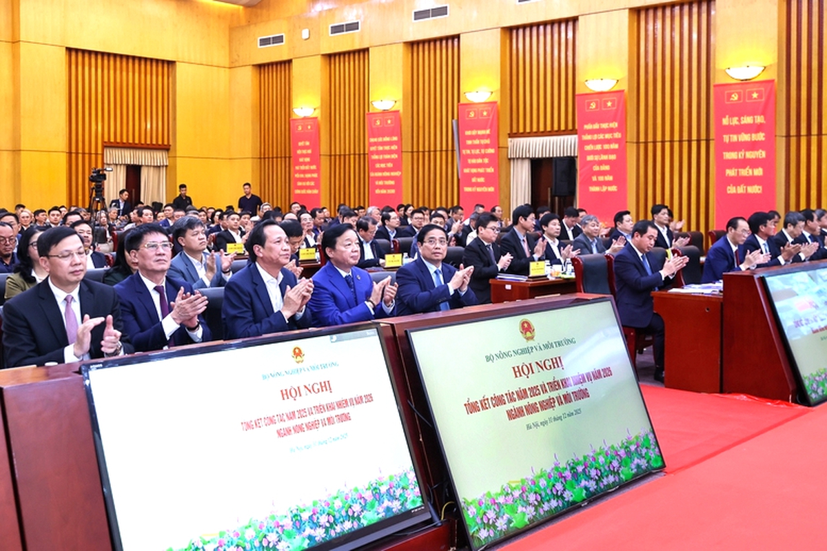 Thủ tướng: Trong kỷ nguyên mới, nông nghiệp vẫn là trụ đỡ nhưng phải đột phá mạnh mẽ hơn- Ảnh 2.