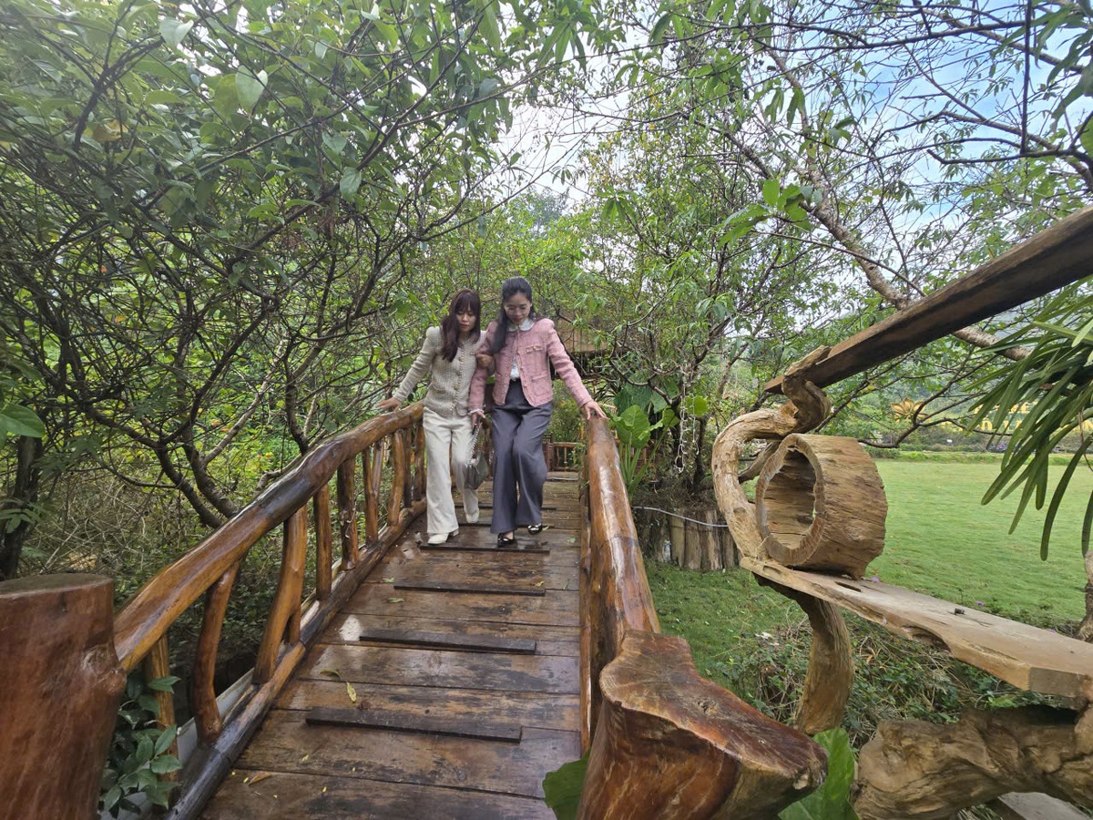 Lần đầu tiên Lạng Sơn tổ chức Countdown kết hợp bắn pháo hoa dịp tết Dương lịch 2026- Ảnh 3. Lần đầu tiên Lạng Sơn tổ chức Countdown kết hợp bắn pháo hoa dịp tết Dương lịch 2026- Ảnh 3.