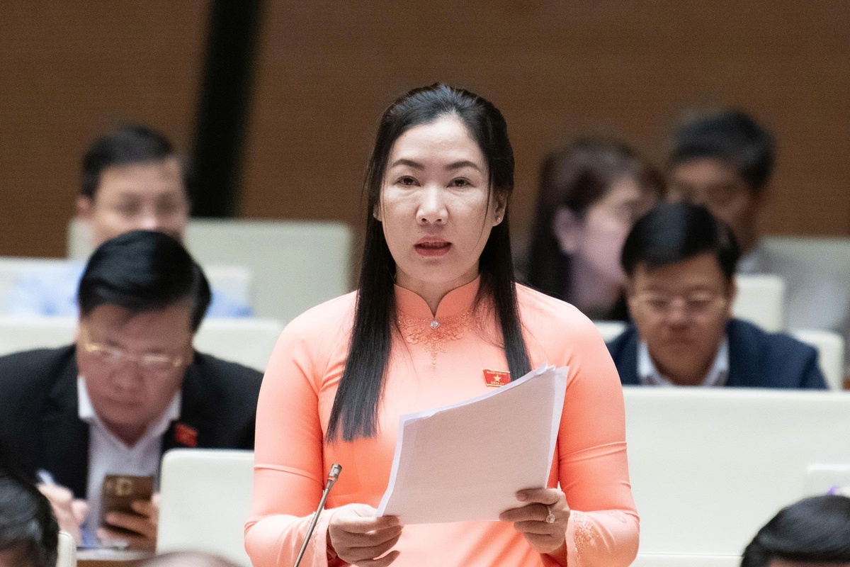 Đại biểu đề xuất nhiều giải pháp đảm bảo sự phát triển kinh tế - xã hội bền vững trong giai đoạn mới- Ảnh 2.