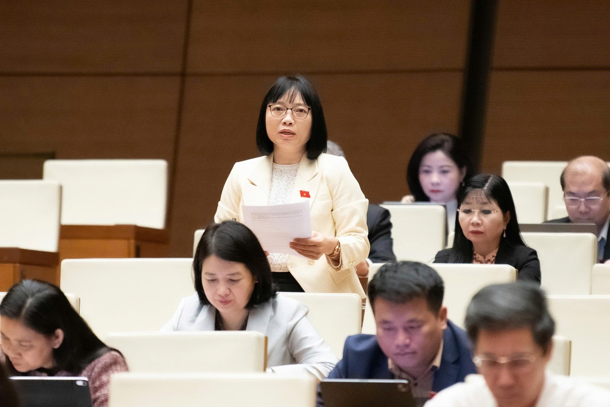 Đại biểu đề xuất nhiều giải pháp đảm bảo sự phát triển kinh tế - xã hội bền vững trong giai đoạn mới- Ảnh 3.