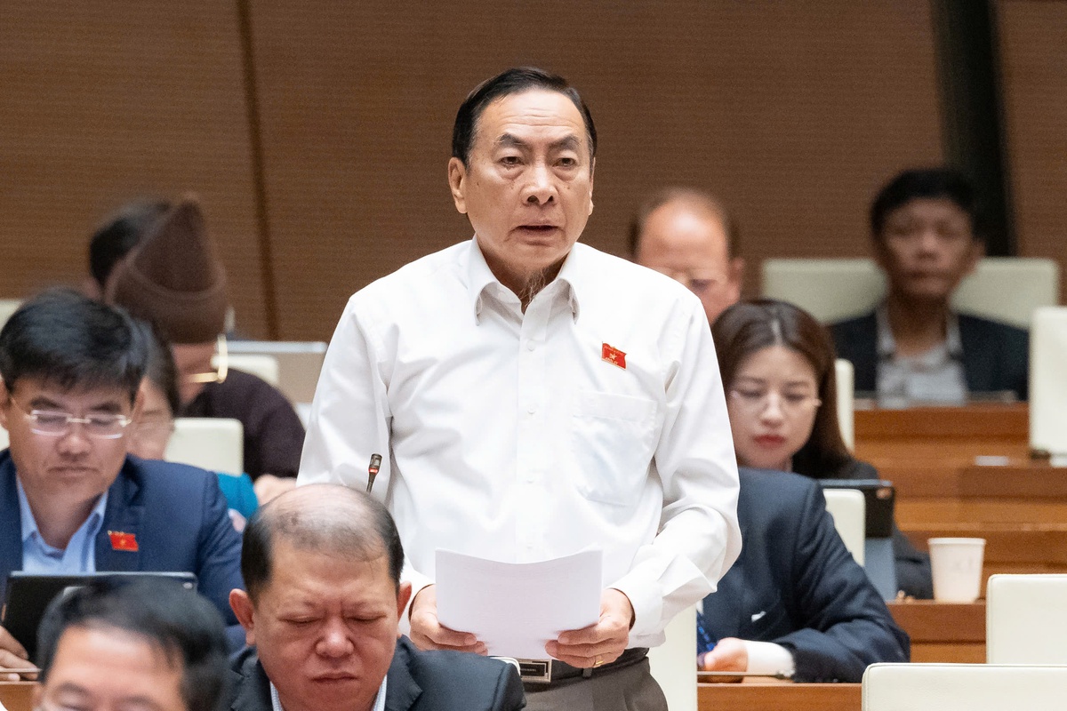 Đại biểu đề xuất nhiều giải pháp đảm bảo sự phát triển kinh tế - xã hội bền vững trong giai đoạn mới- Ảnh 1.