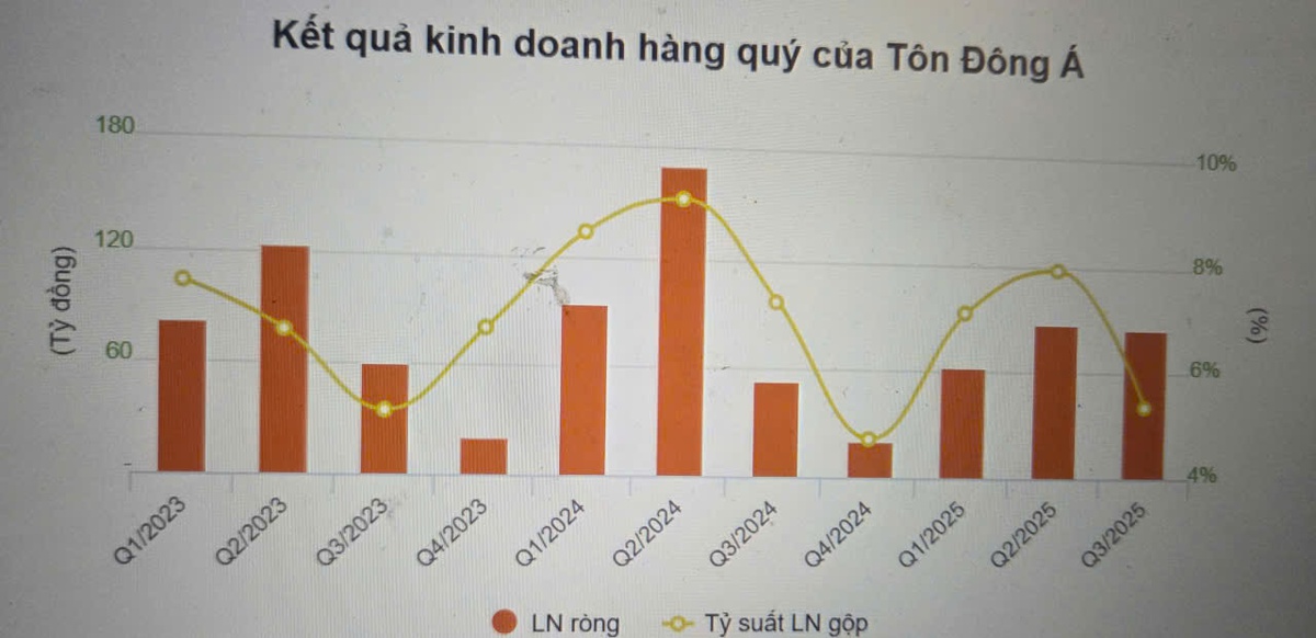 Tôn Đông Á trở lại đường đua HoSE có gì mới?- Ảnh 2.